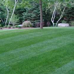 Landscapers near me in Simsbury CT with top quality lawn installation