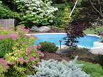 Beautiful poolscape with lush outdoor plantings surrounding it